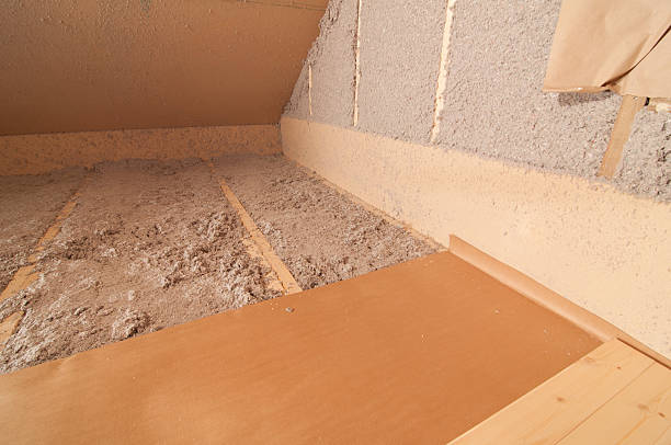 Best Attic Insulation Installation  in USA